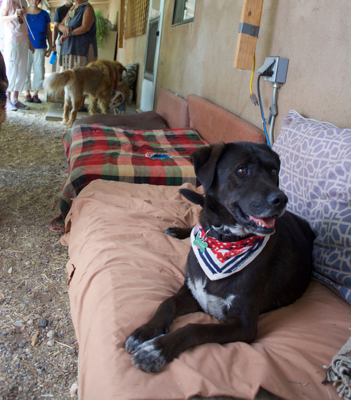 Folks In This Online Group Shared 30 Stories Of Kids Showing Signs They Might Have Lived A Life Before Their Current One