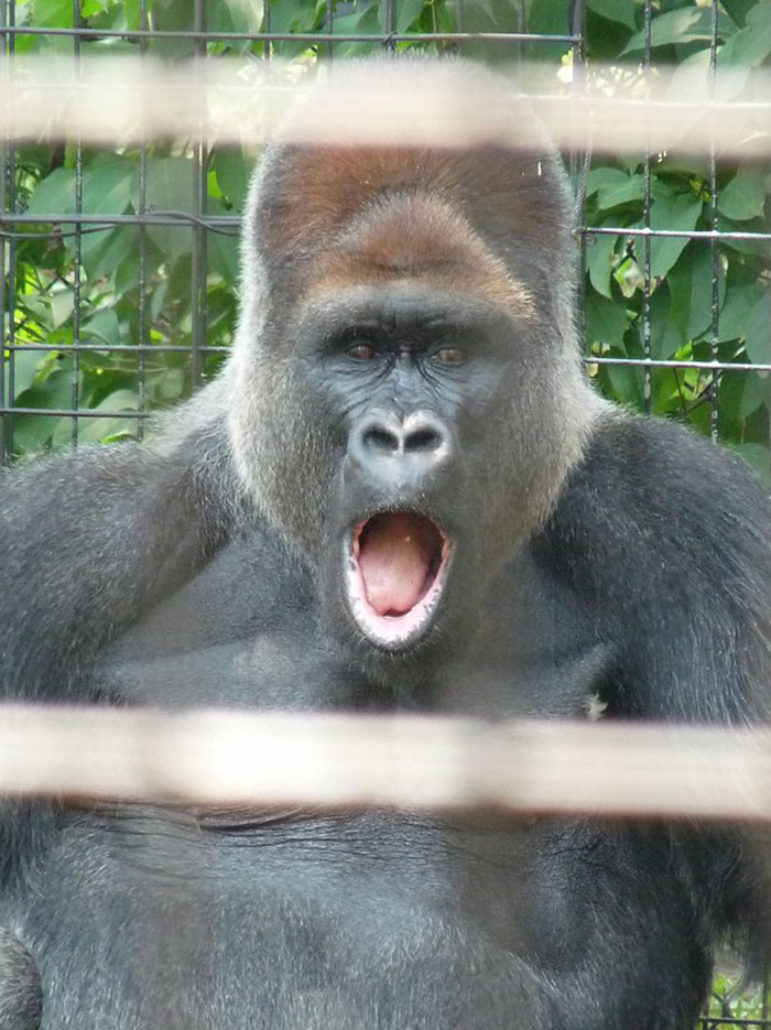 Someone In This Online Group Asked “Teachers, What Was The Worst Thing You Had To Confiscate From A Student?”, 30 Folks Delivered