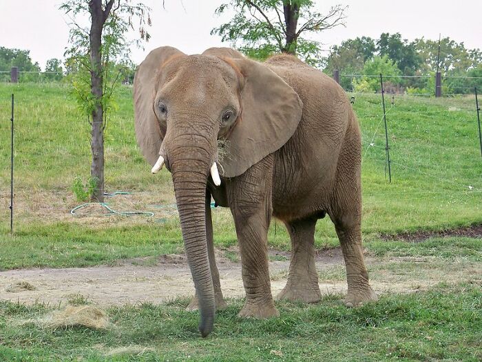 Someone Online Wondered: “What’s A Random Fact You Think Is Worth Sharing?“, And 30 Users Delivered