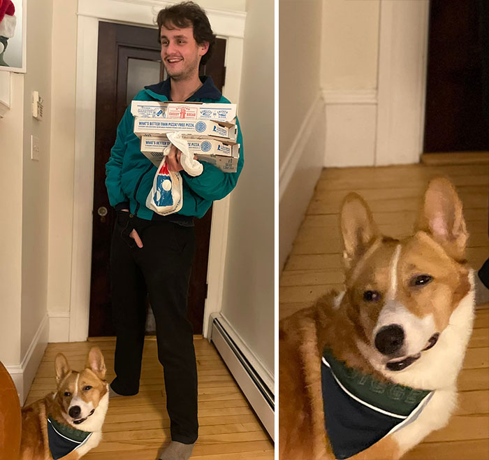 Digger Giving The Stink Eye Because He Can’t Have Any Pizza