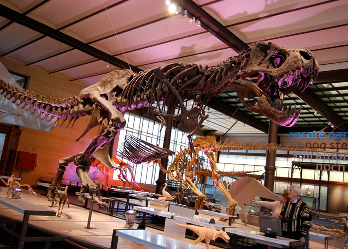 'What Is A Scientific Fact That Absolutely Blows Your Mind?': People Share 35 Incredible Facts About Our World