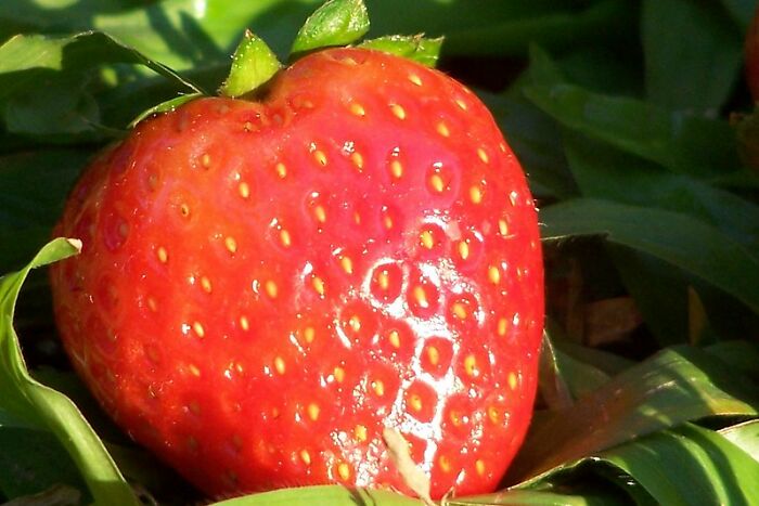 “Medical Professionals, What Is The Stupidest Misconception A Patient Has Had About The Human Body?” (30 Stories)