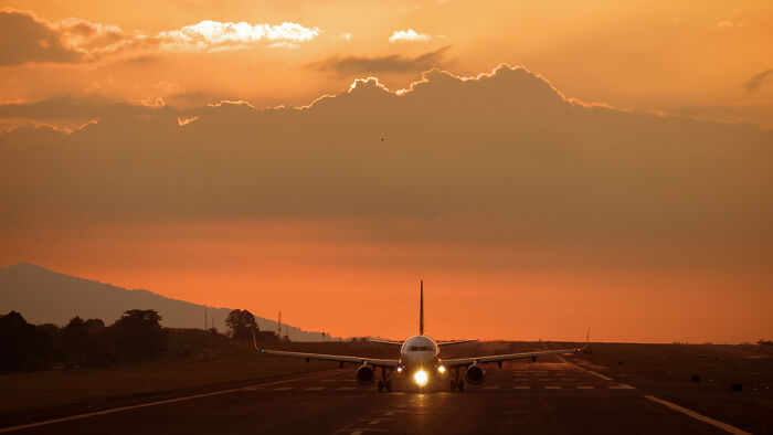 23 Intriguing "Tinder Swindler" Real-Life And Behind-The-Scenes Facts