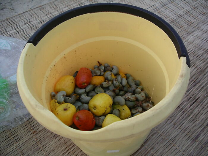 Someone Online Wondered: “What’s A Random Fact You Think Is Worth Sharing?“, And 30 Users Delivered