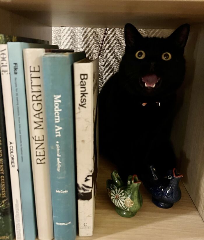 She Is Always So Surprised