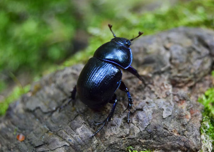 'What Is A Scientific Fact That Absolutely Blows Your Mind?': People Share 35 Incredible Facts About Our World