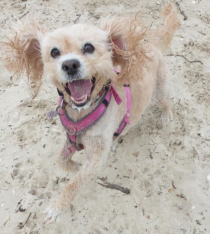 Playgroup… Did You Say Treat ?