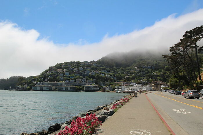 Someone Online Wondered: “What’s A Random Fact You Think Is Worth Sharing?“, And 30 Users Delivered