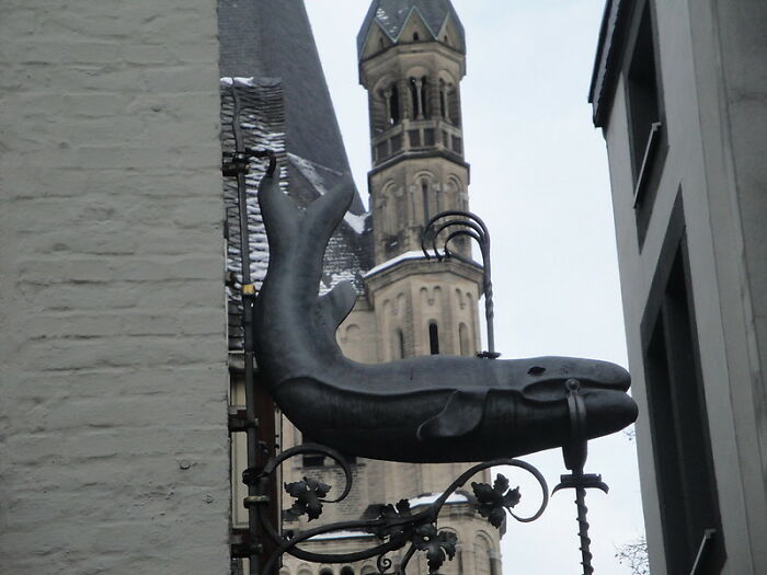 Resulta que las ballenas y los bebés tienen mucho en común