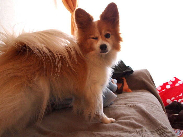 30 Social Cues Indicating That Someone Might Be Flirting With You, As Pointed Out By Folks In This Online Group