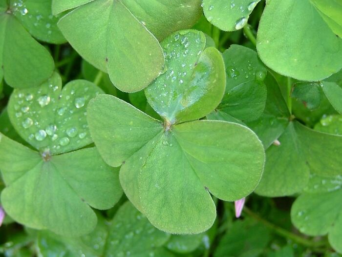 30 Important But Hard-To-Swallow Life Truths, As Shared By Women In This Online Group