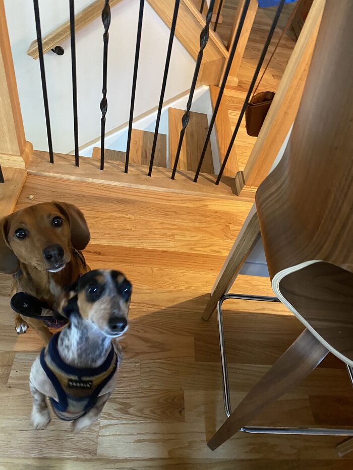 Oh Boy Oh Boy Oh Boy, I Can’t Wait