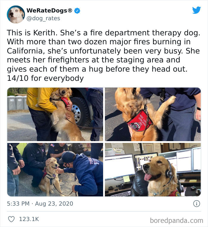 She Knows She's A Big Deal