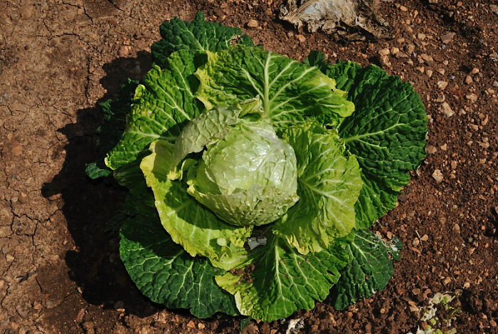 People Didn't Realize How Helpful These 30 Cooking Tips And Tricks Were Until They Started Using Them