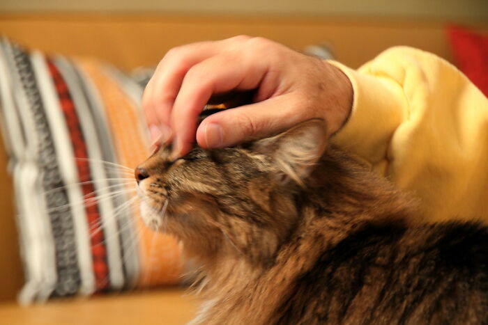 20 Hombres revelan lo más sentimental, emotivo y romántico que una mujer ha hecho por ellos