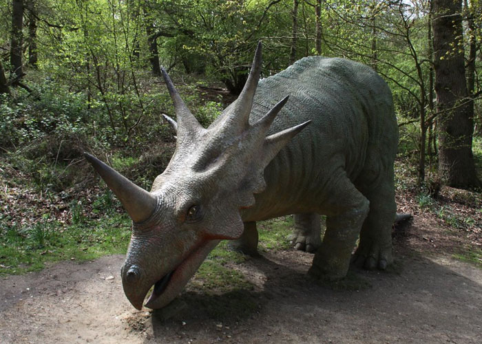 'What Is A Scientific Fact That Absolutely Blows Your Mind?': People Share 35 Incredible Facts About Our World