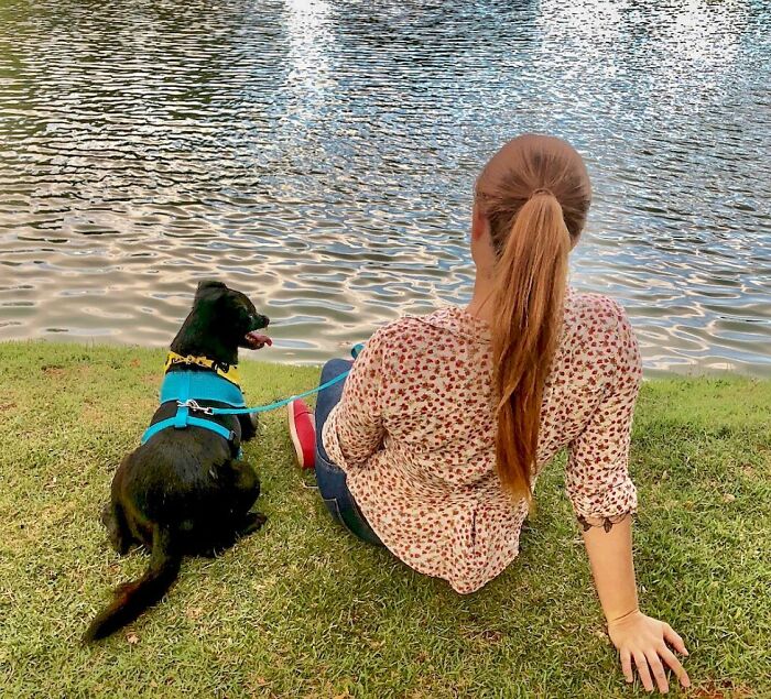 Meet Odin, The Dog Who Lost Part Of His Snout In An Accident And Still Found Kindness In His Owner Who Adopted Him After He Spent 3 Years In A Shelter