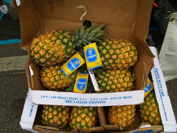 20 De los encuentros con clientes más bizarros o graciosos en esta publicación que se volvió viral