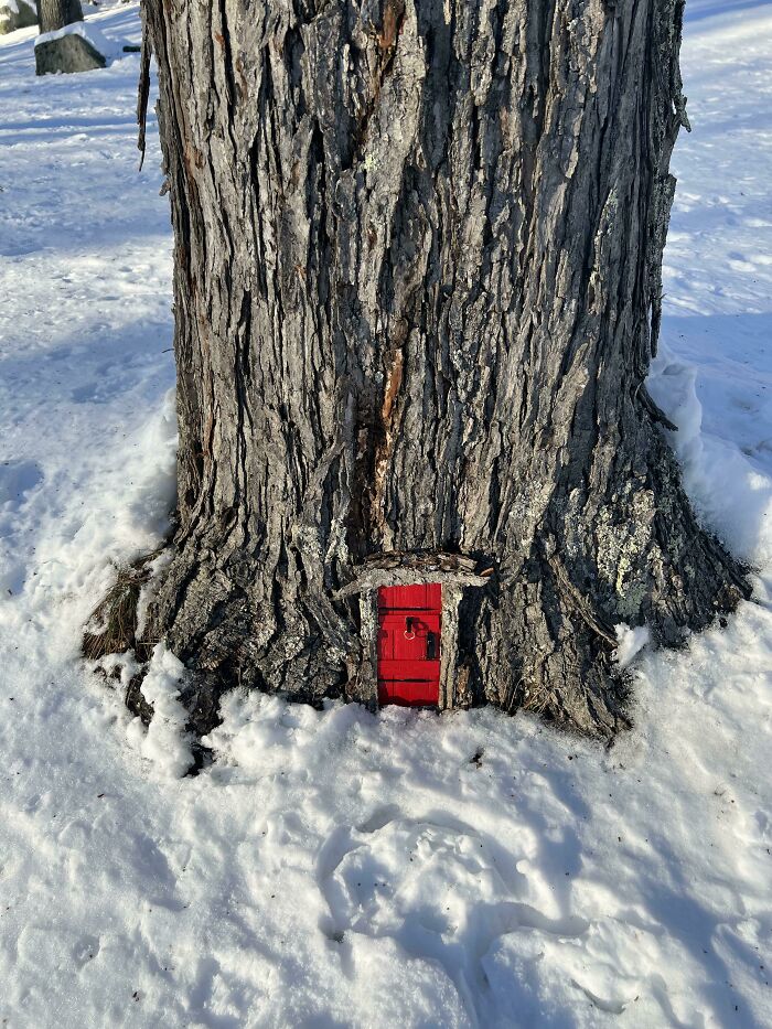 Made My First Fairy Door