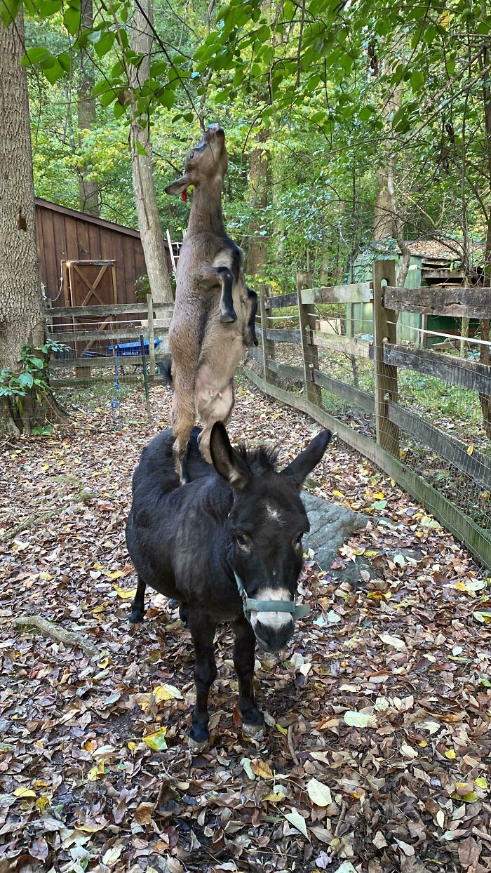 We Get By With A Little Help From Our Friends