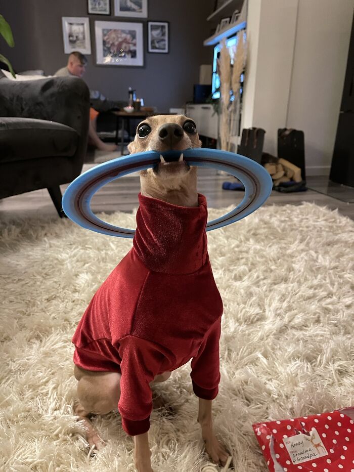 She Got What She Wanted For Christmas