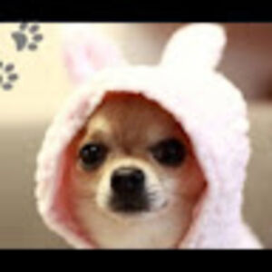 michaellimperos avatar