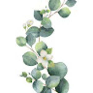 mayaherrera_2 avatar