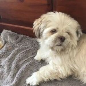 denise_nichols avatar