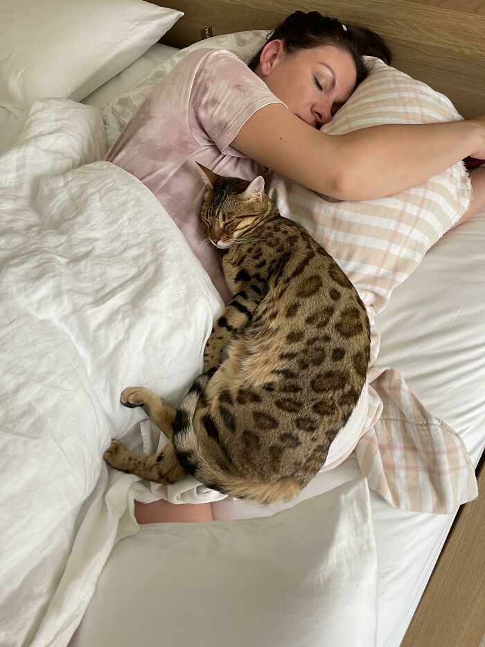 These Two Have Been Inseparable Since My Wife Got Pregnant. Today’s My Wife’s Due Date. I Think Our Cat Knows