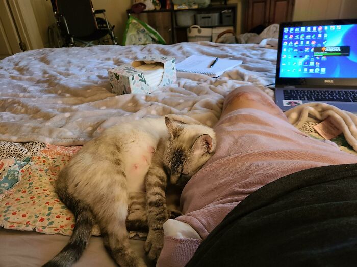 Hasn't Left My Side Since Her Failed Pregnancy. Full Term But No Babies, Everywhere I Go She's Right There Next To Me