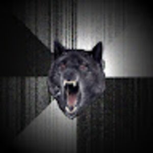 insanitywolf avatar