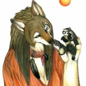 sherylwolfenheart avatar