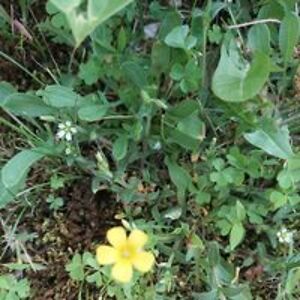 jensen_laura66 avatar