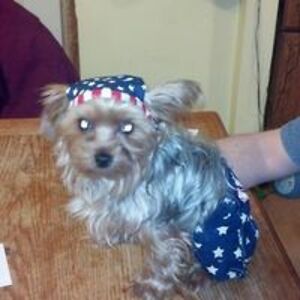 juanitamclaughlin1974 avatar