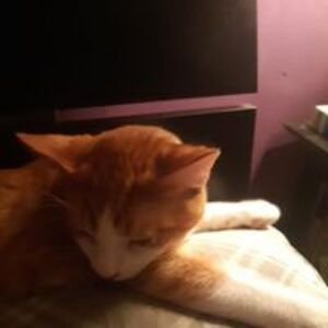 lydia_degraaff71 avatar