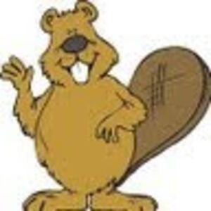 patbeaver avatar