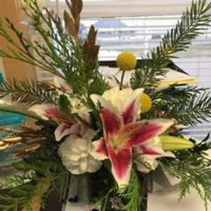 fergusona0081 avatar