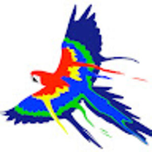 kaileyfindley avatar