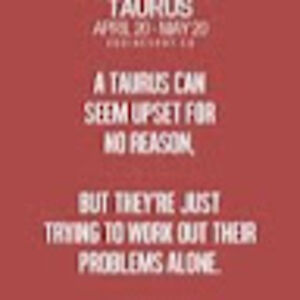 claudiawernersbach avatar