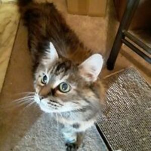 catherine_jones avatar