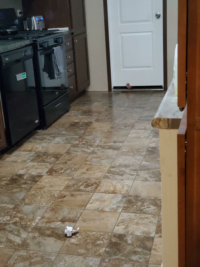 Instead Of Just Letting Us Know Verbally She Woke Up From Her Nap, Or Just Ya Know Opening Up The Cracked Door, She Thought She Needed To Wave At Us From Under The Door Until She Got Our Attention