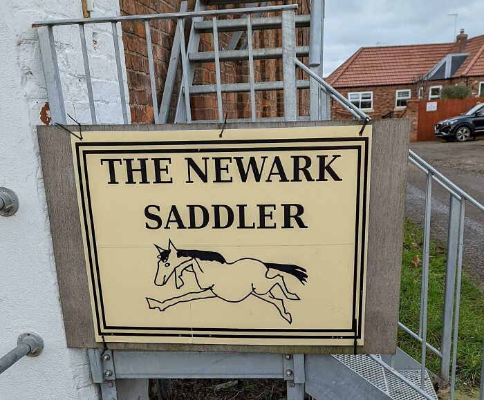 Can We All Admire This Majestic Beast