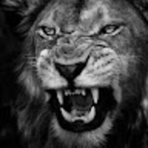 lyonelduwhitt-dunn avatar