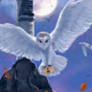 kiarafernandes avatar