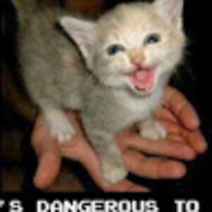 carterdohoney avatar