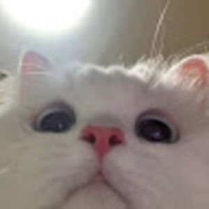 kimdana102810 avatar