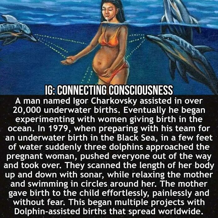 Shared Unironically On My Timeline And Immediately Thought Of This Sub