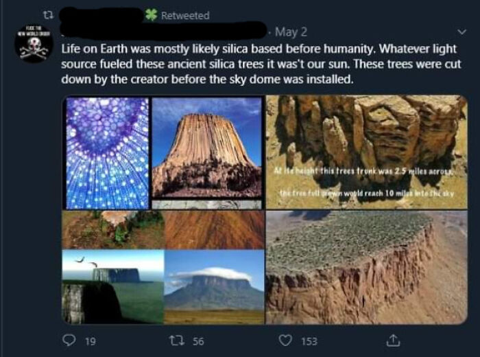 Ancient Silicon Trees