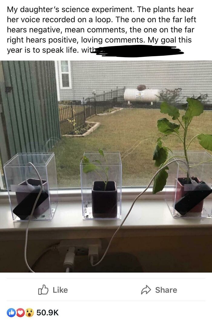 I Guess Telling People “I’m Gonna Be Nicer This Year” Was Too Simple