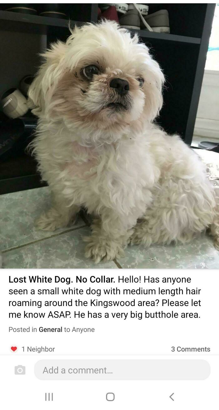 That's A Bit Too Descriptive